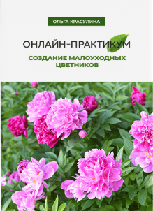 2cc0cd95c2dfd35f17b1c678419b1f51.jpg
