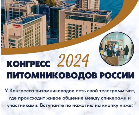 2e2ad55e8eba62db2d8900f792e2d939.jpg