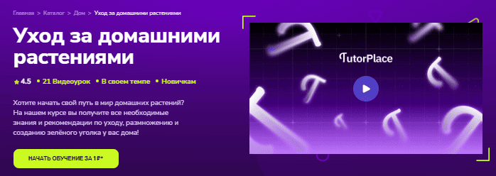 2ece20f42fc3795539e1d0d710f12b8a.jpg