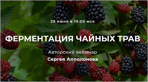 30e925f4e403a4a8420d89cea298e518.jpg