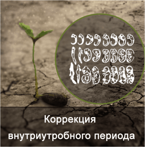 33ea9bcddebcfeb3bcb642a8558f7fc4.jpg
