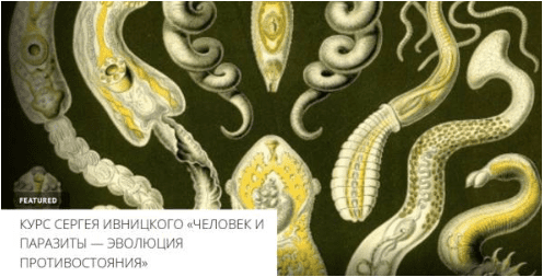 3c4852ec6ecb2a2574b0e4917c2de4c9.jpg