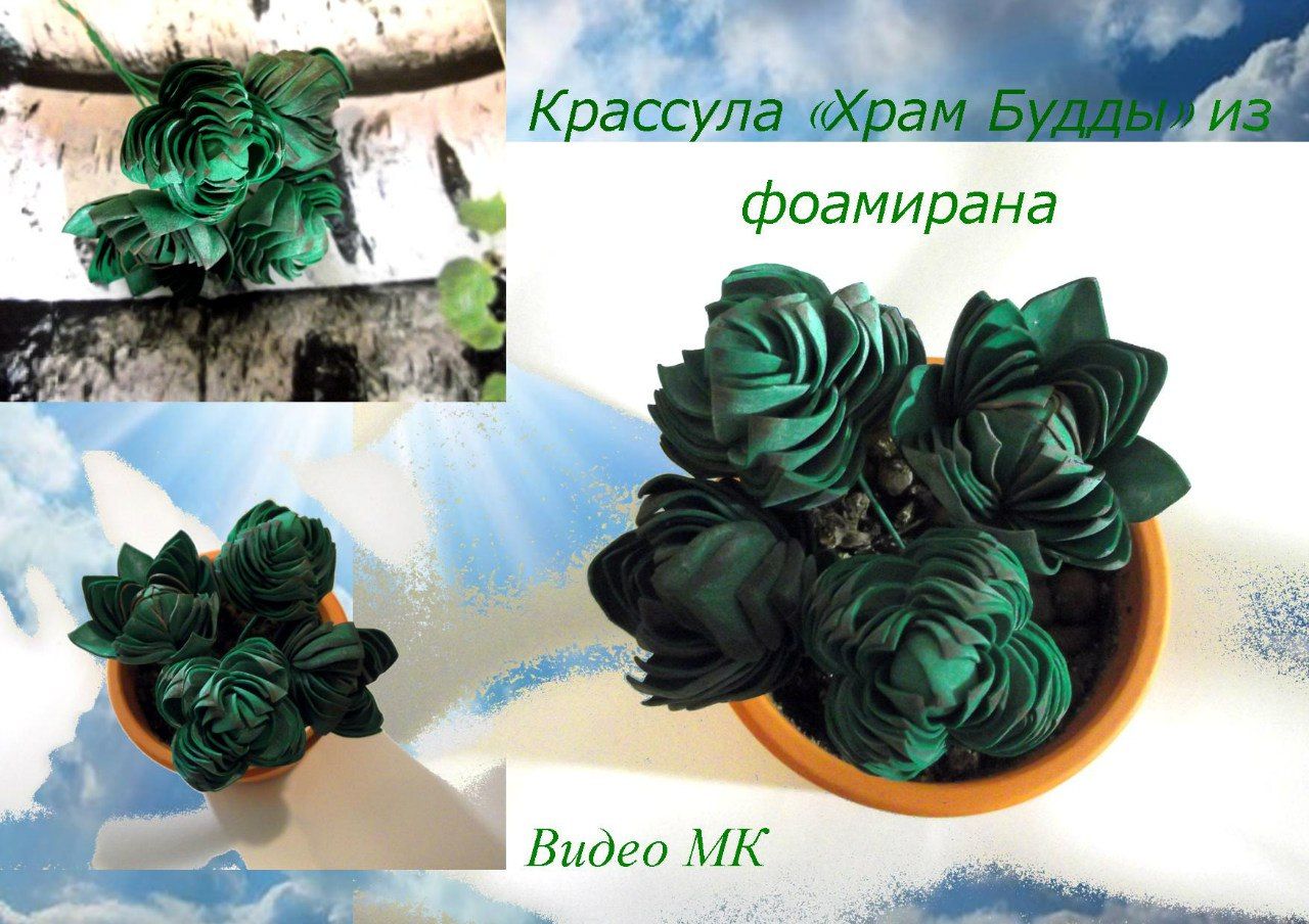 4b052610548e67cd886dd733ee653c81.jpg