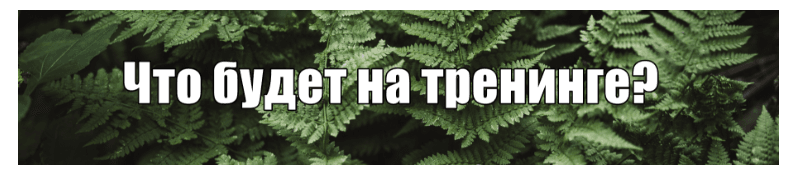 4f1d8d685fc59258c89c99047566078a.jpg