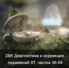51d3716661d4e9c9cfaed1c7784a477d.jpg