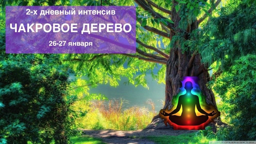5a0b9e646451b2d127a2b6eeac7adf87.jpg