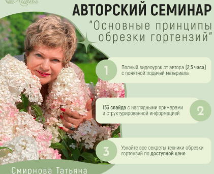 5d48ac782efc6e168c28570630d0b709.jpg