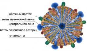 614f56ac28429c742098a9a1b0f98993.jpg