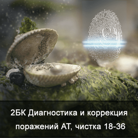 6740310005101d74a36a713bcdb18ae7.jpg