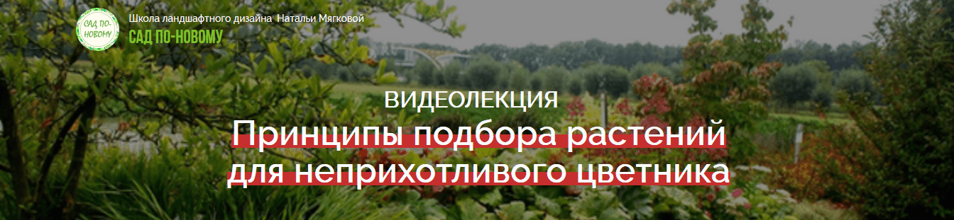 6ab81142f8614727159dd80019e203a2.jpg