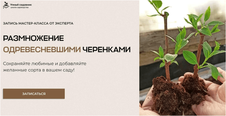 6dbafb21d3fec42a23f6ce2076f2b294.jpg