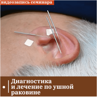 74b5b3055fb4fb94321ca6a000fc72f4.jpg