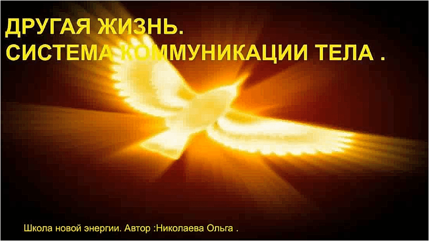 7d9df94efa431377c7e72092696a78ee.jpg