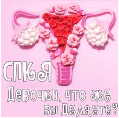 7e35a08e280a2dbf4c33526f5320e6b1.jpg
