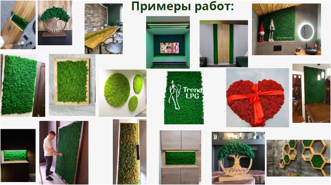 7e82302aa3d6ad96ce183daeff2242a3.jpg