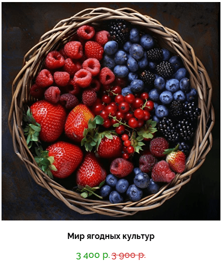 8090ed4cc6edc50c7f66317454365e7a.jpg