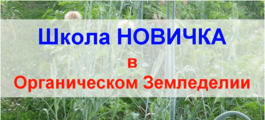 865de59b8a02182dbfc6315c4ab76a54.jpg