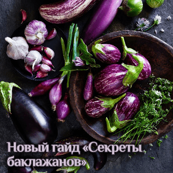 8ab3c440337fd26b27def0d67a6a9281.jpg