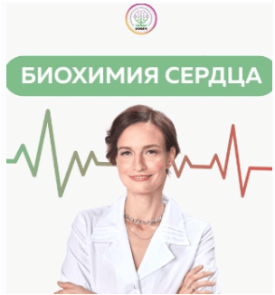 8b6fa1d87c3f4a60f5d7da64069ebfc0.jpg