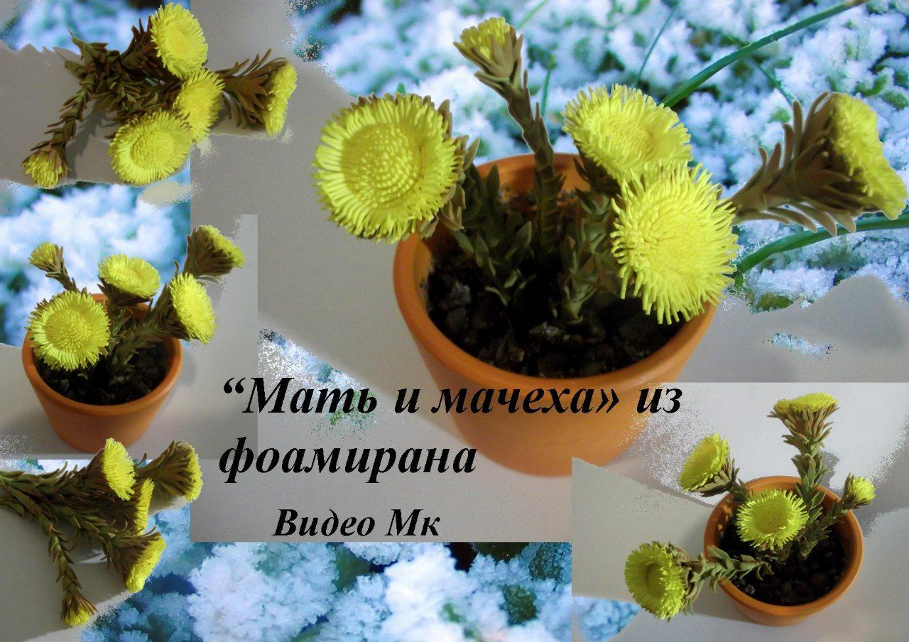 95c220e4ad2cf37d1dabf049bbab1113.jpg