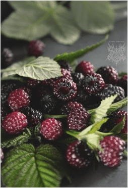 9e7ab74cb779afb941e3a90839f0a14c.jpg