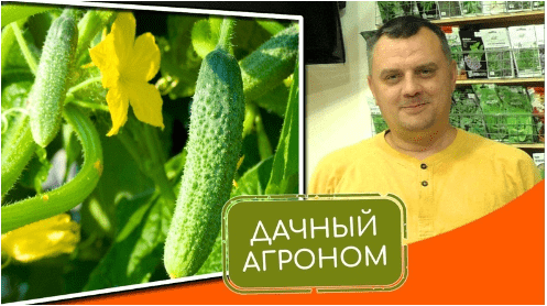 9fac57029624be0d92345e94923520d8.jpg