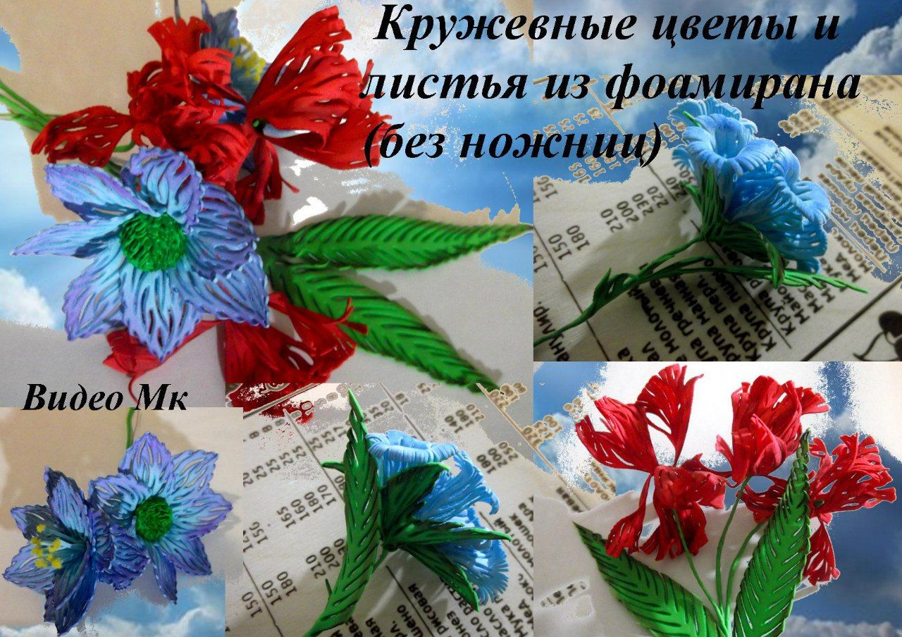 a79c7904561487c77ee1523e6a0b0633.jpg