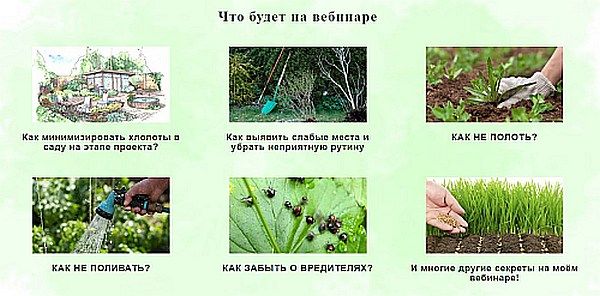 a9c268617d2aa8fe57aa5b0df11c50fe.jpg