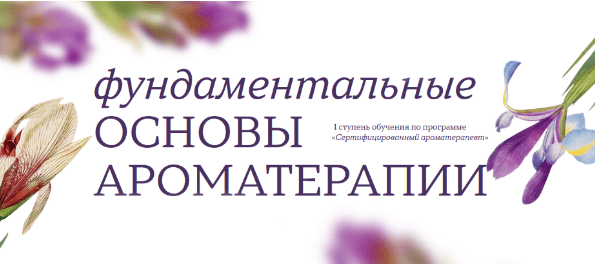 b7e39aecc75d04e0f4d9388c748c6bb8.jpg