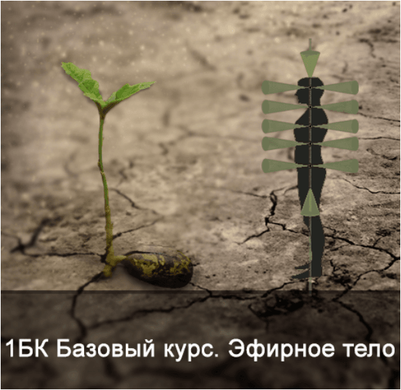 beaac6a3a2b5b62379d274c7a7a097c9.jpg
