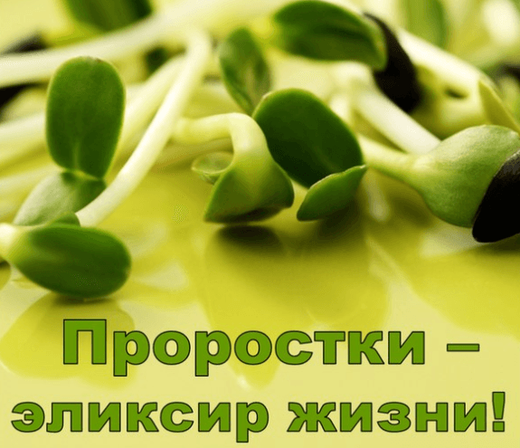 c33283bccba344b02eb2c7d8596964de.jpg