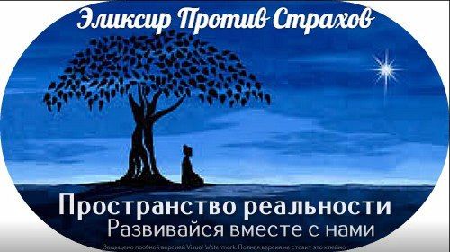 c6329e57d8d40cb86977ca0ab2072126.jpg