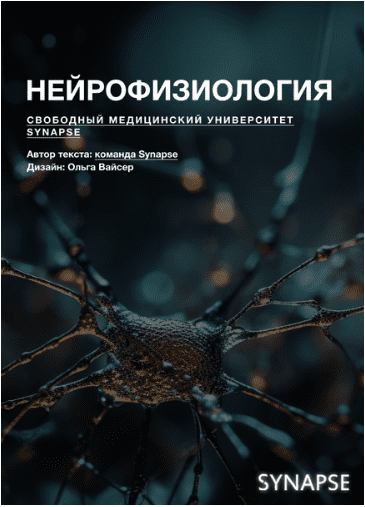 ca3ce58af2b580de891cf3858487818b.jpg