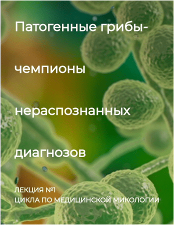 cfa22396a534ea558470bfaf1a49844a.jpg