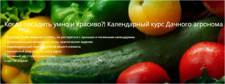 cfe2858d2a11b696cbebaef919b13a5c.jpg