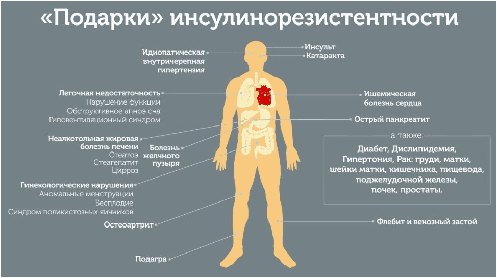 d0ea5e7e879934609efa799f7a0b692a.jpg