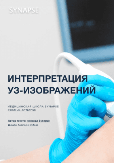 d1b5ca8b56a56bcc1aef125f1297959e.jpg