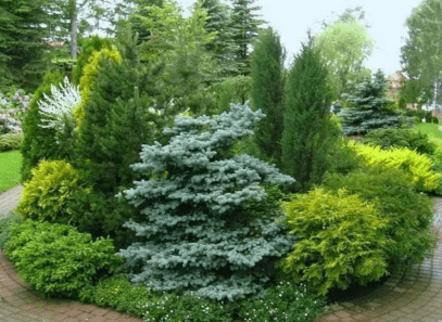 d412a7366ac59cb108c8229a53c2adcb.jpg