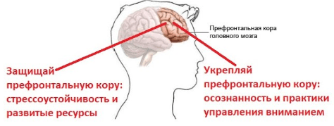 d536b3d5e2459548ed757aed0924eb08.jpg
