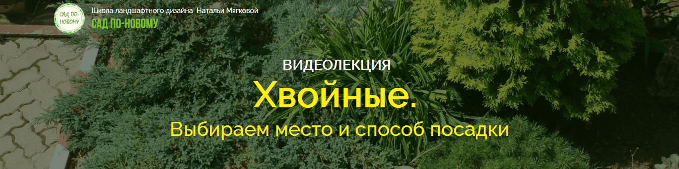 d54f346507e4d9b66d6c660c8a7d5069.jpg