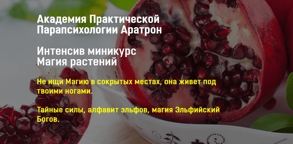 e376a50e28a8015f5afc069593680ecc.jpg
