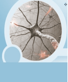 e542fdbb6a72cada9401a519cd36da28.jpg