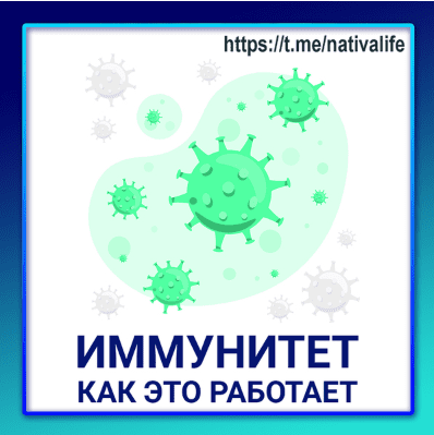 ec93b5348fded3b58d9aac9643cf8f4e.jpg