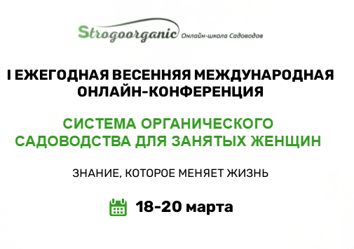 ed88b8324731ca164cf87ec1762da551.jpg