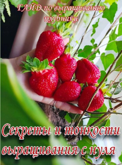 f7c7e973a5653221e2935e941a3b2cd7.jpg