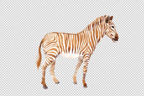zebra-set-watercolor-png-by-mystocks-1-580x387-jpg.49786