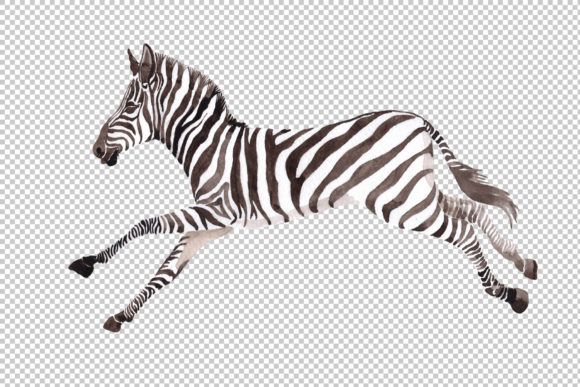 zebra-set-watercolor-png-by-mystocks-3-580x387-jpg.49787