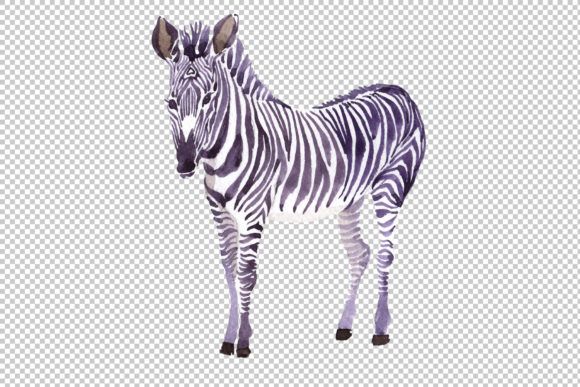 zebra-set-watercolor-png-by-mystocks-4-580x387-jpg.49788