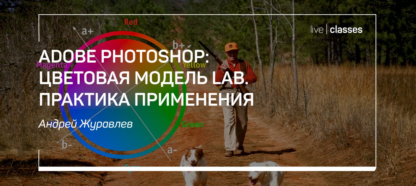 liveclasses.ru