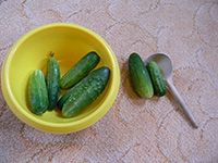 week2-jpg.5322